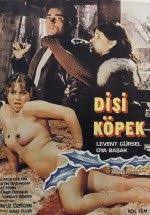 Dişi Köpek Oya Başak Yeşilçam Erotik izle