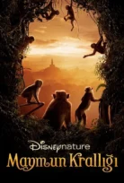 Maymun Krallığı izle 2015 Türkçe Dublaj