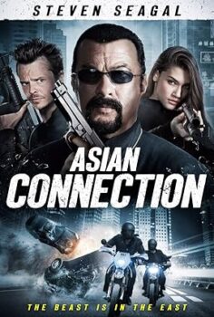 Tehlikeli Soygun – The Asian Connection 2016 izle